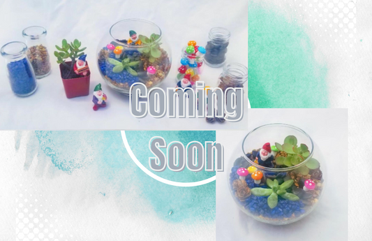 Coming Soon ~Fairy Garden